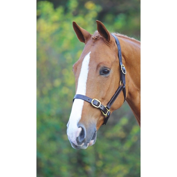 373B Shires Fully Adjustable Headcollar Primary Image
