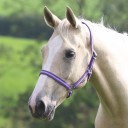 Shires Wessex Headcollar  Thumbnail Image