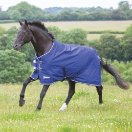 Shires Tempest Original Lite