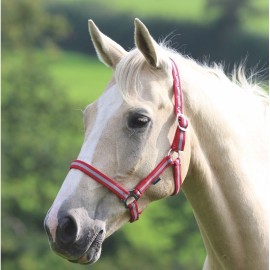 Shires Wessex Headcollar 