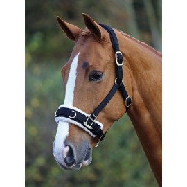 Shires Fleece Lined Lunge Cavason