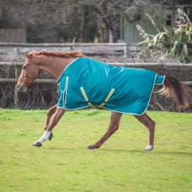 Bridleway Ontario 100g Turnout Rug