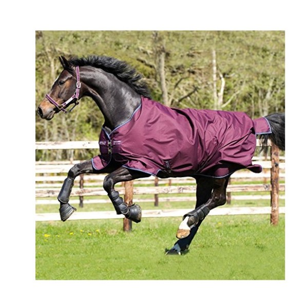 Lightweight 600 Denier Turnout Rug 100g Fill Red