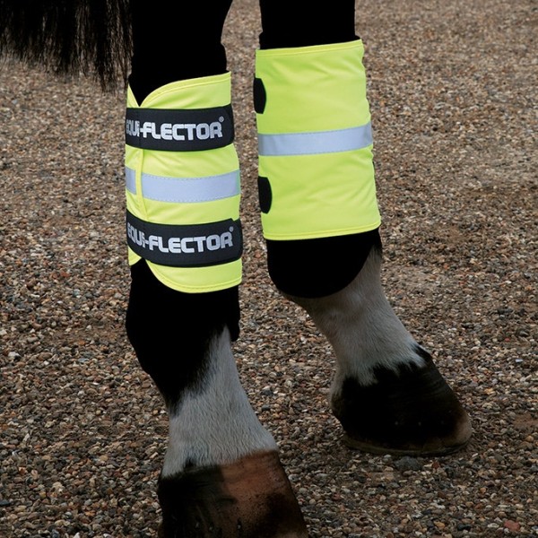 Shires Equi-Flector Leg Wraps Primary Image