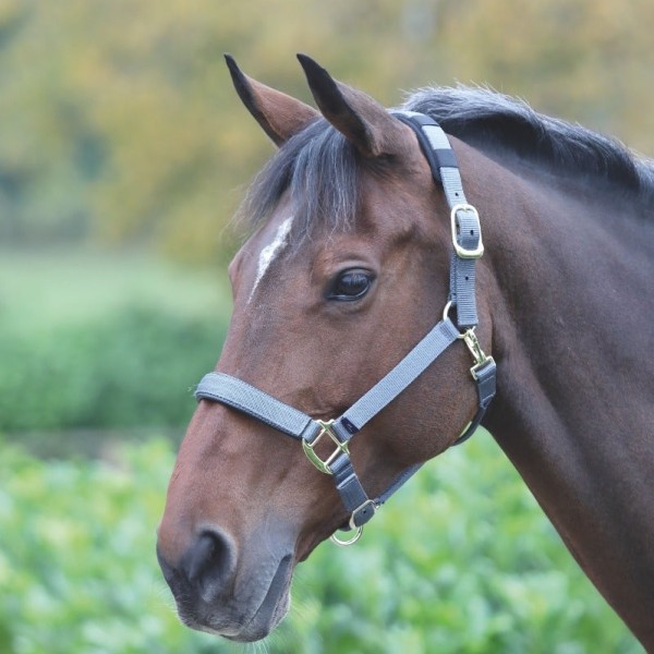 Shires Topaz Nylon Headcoller Primary Image