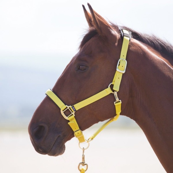 Shires Topaz Nylon Headcoller Primary Image