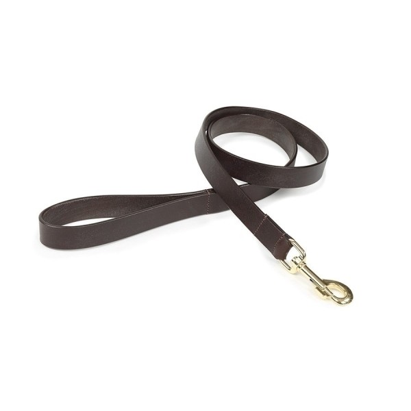 Digby & Fox Flat Leather Lead Primary Image