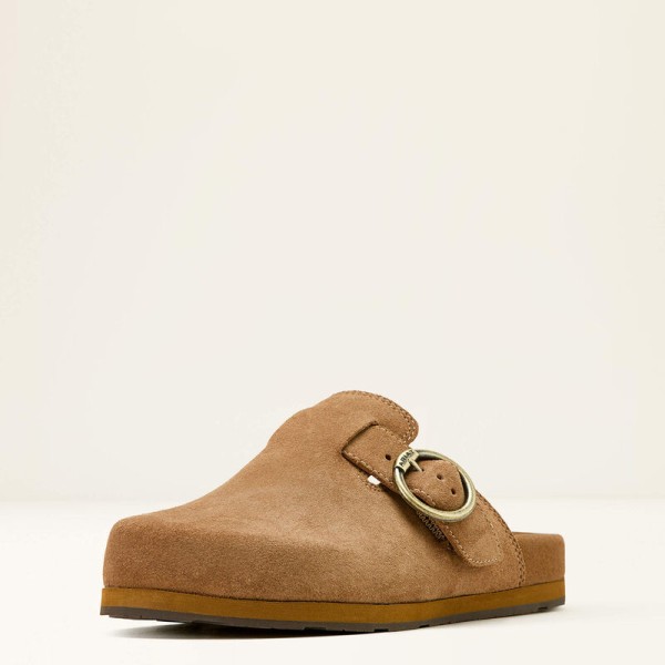 Ariat Country Mule Primary Image
