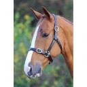 373B Shires Fully Adjustable Headcollar Thumbnail Image