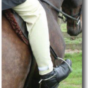 Ri-Dry Beige Over Breeches Thumbnail Image