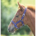 Shires Adustable Foal Headcollar Thumbnail Image